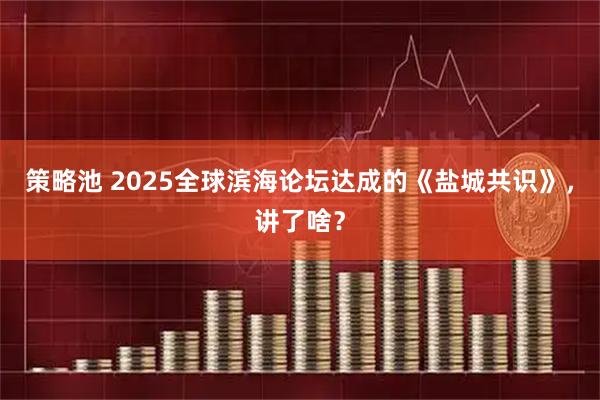策略池 2025全球滨海论坛达成的《盐城共识》，讲了啥？